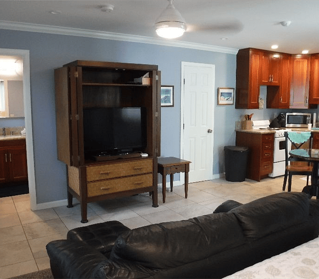 Furnished Finder property 257910_1 photo 8