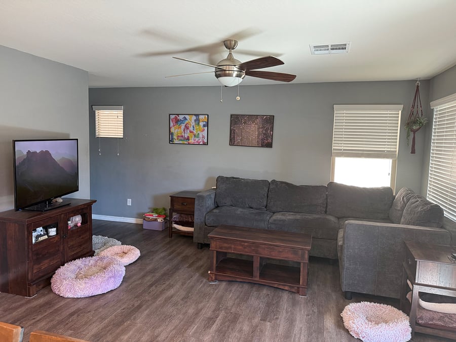 Furnished Finder property 257935_1 photo 11