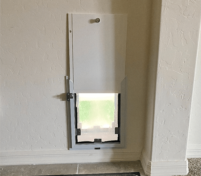 12" dog door 