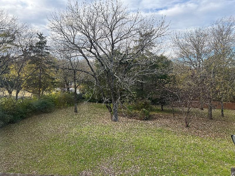 Furnished Finder property 258121_1 photo 19