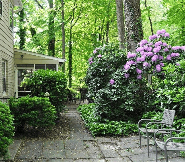 Outdoor area from Laundry Room