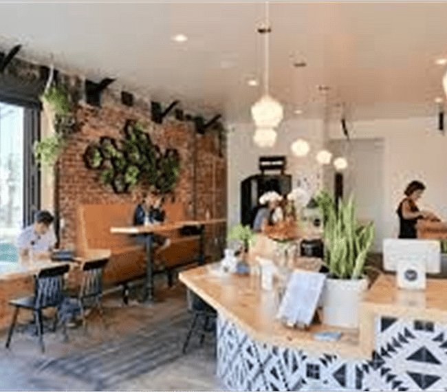 Salud organic Juice Bar one black from your home 