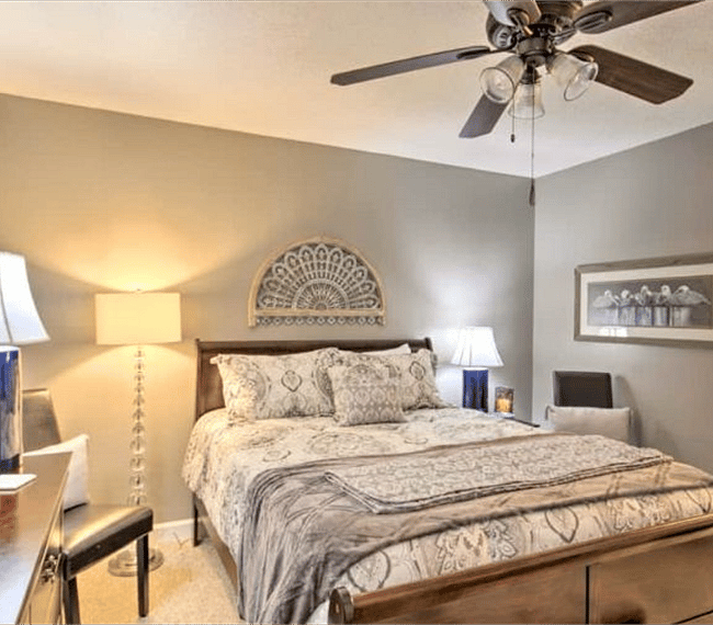 Furnished Finder property 258244_1 photo 17