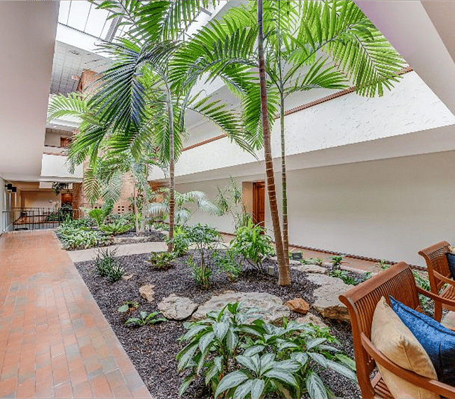 unique atrium with skylights and palm trees