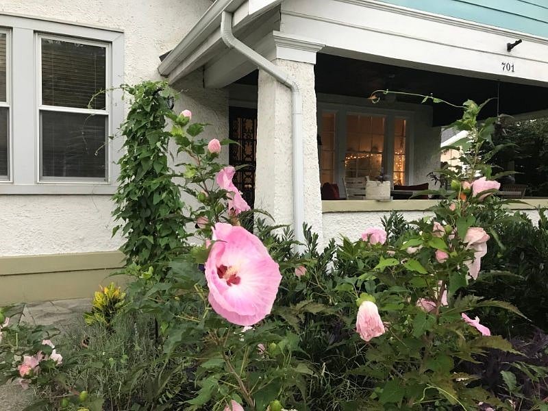 Furnished Finder property 258517_2 photo 18