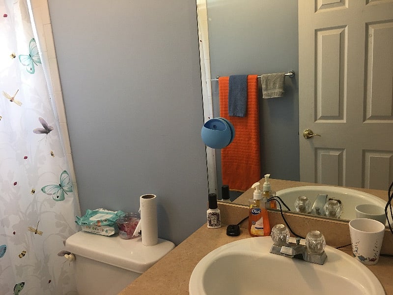 Furnished Finder property 258692_1 photo 6