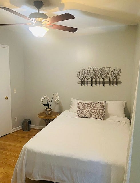 Furnished Finder property 258849_1 photo 15