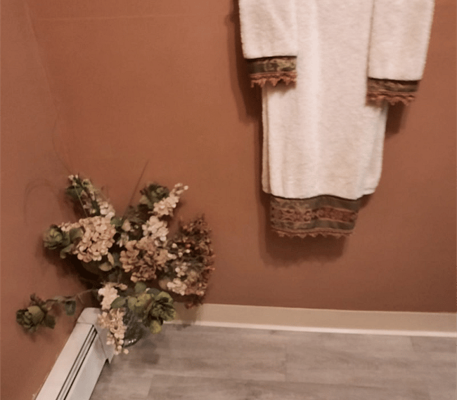 Furnished Finder property 258920_1 photo 4