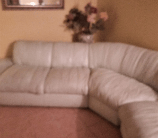 Furnished Finder property 258920_1 photo 7