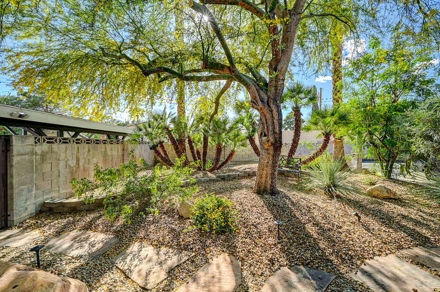 Furnished Finder property 259080_4 photo 41