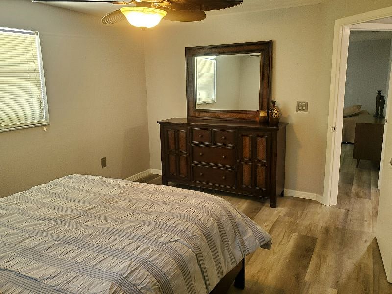 Furnished Finder property 259108_1 photo 12