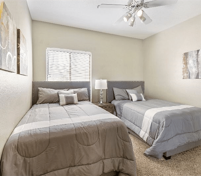 Furnished Finder property 259221_1 photo 13