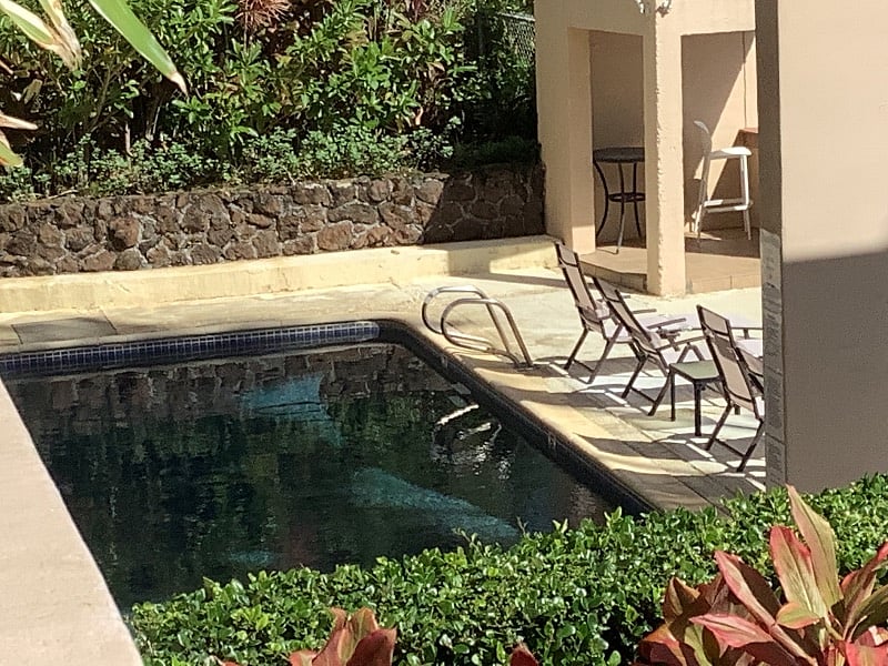 Furnished Finder property 259336_1 photo 16