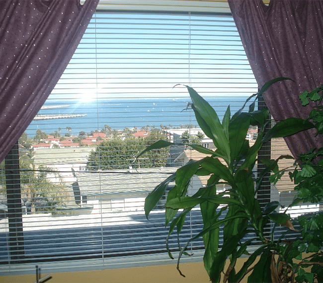 Furnished Finder property 259590_1 photo 7