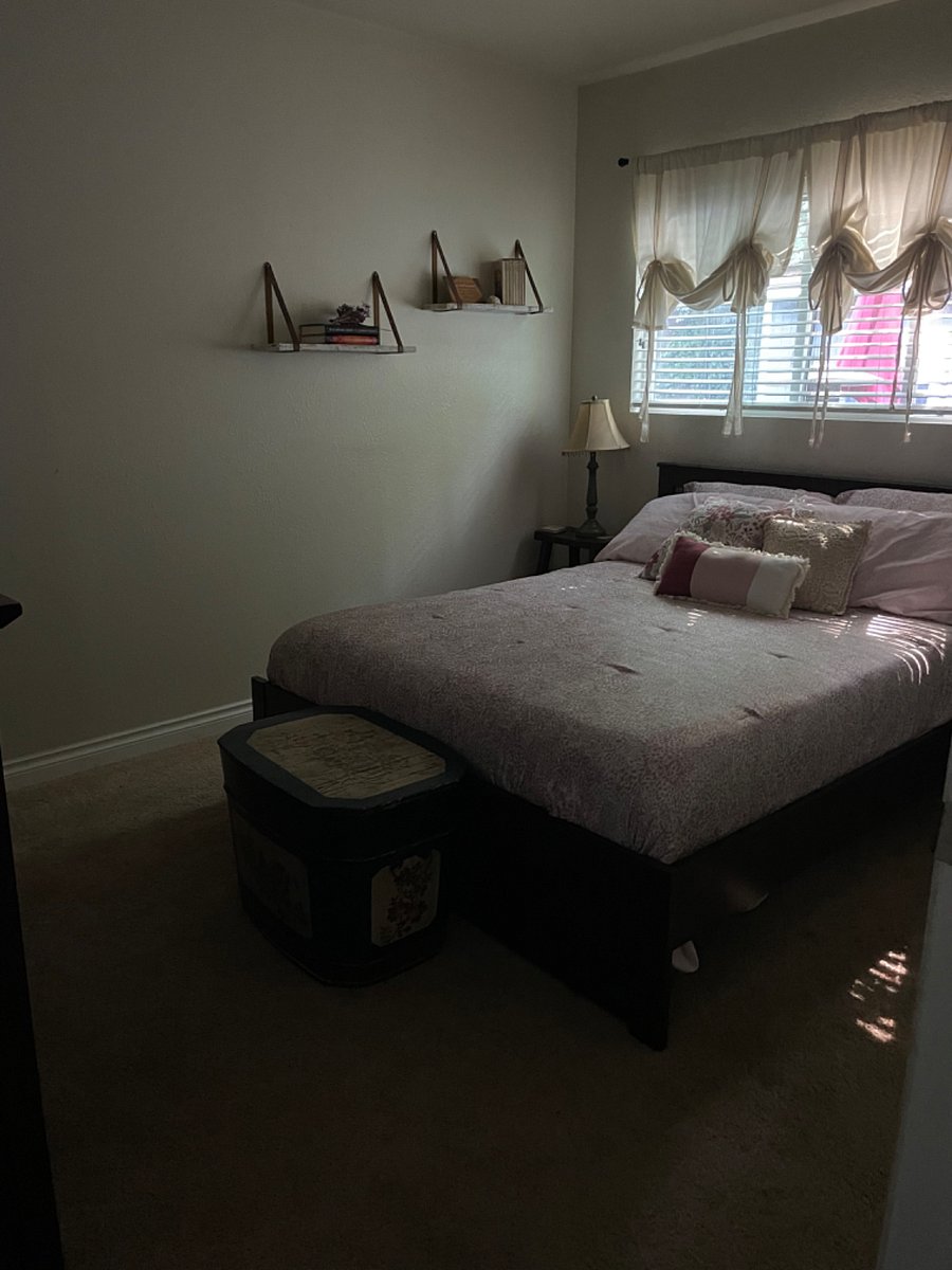 Furnished Finder property 259605_2 photo 13