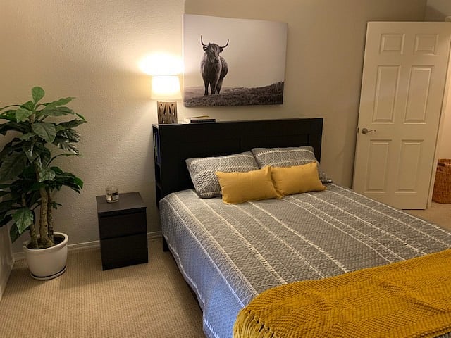 Furnished Finder property 259635_1 photo 11