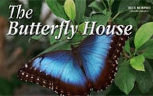 The Butterfly house
