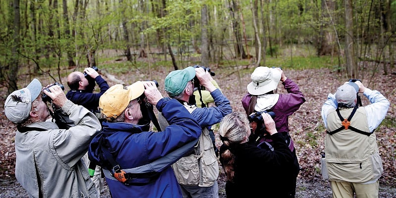 Birding is very popular due to the many marshes and Lake Erie