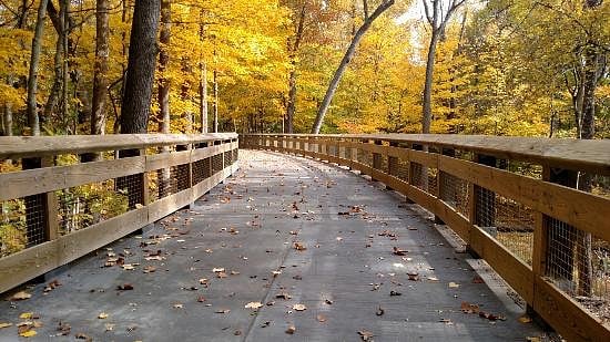 Wildwood Metro Park is a gem in Toledo
