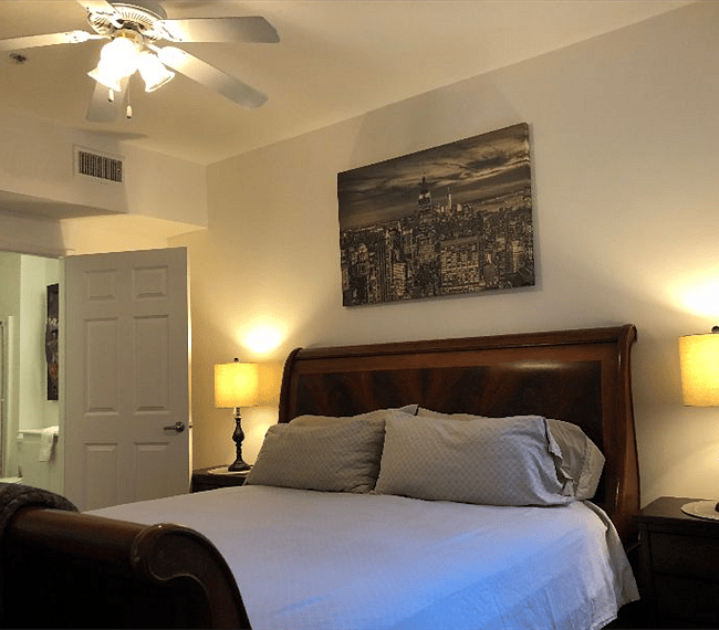 Furnished Finder property 259939_1 photo 33