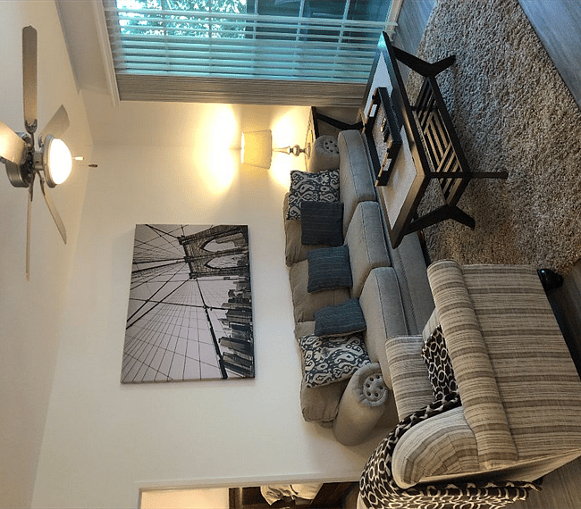 Furnished Finder property 259939_1 photo 35