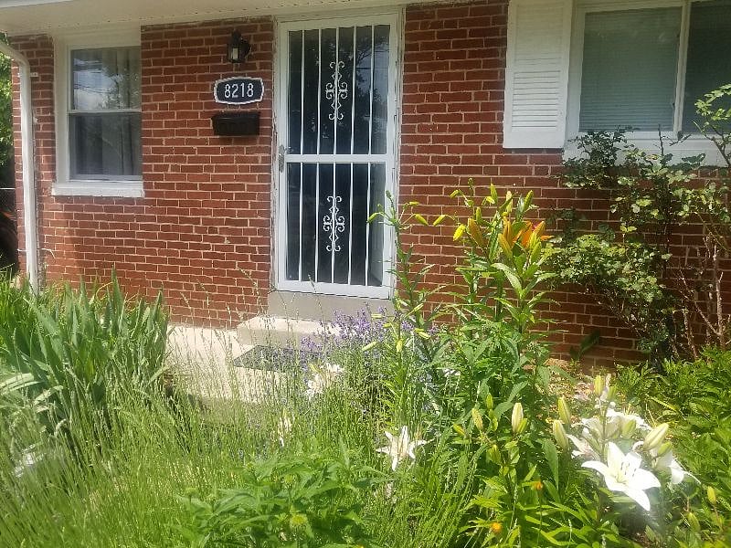 Furnished Finder property 260268_1 photo 14