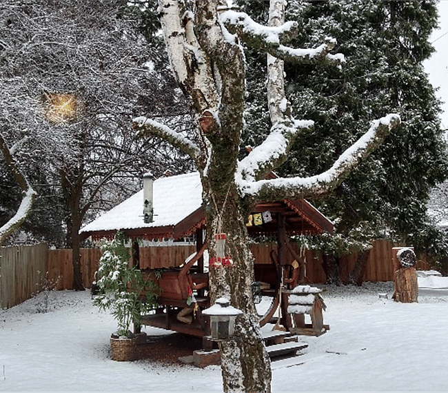 Winter