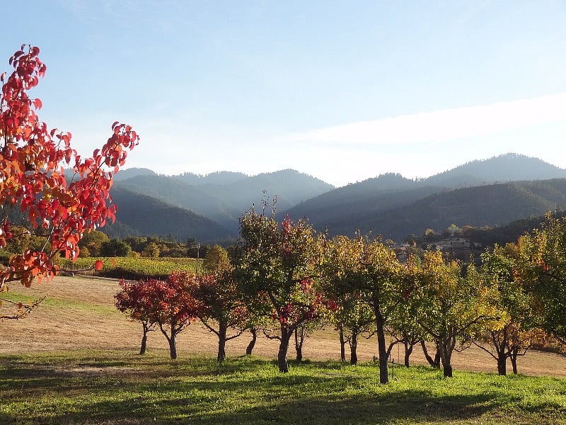 Nearby hills and mountain views