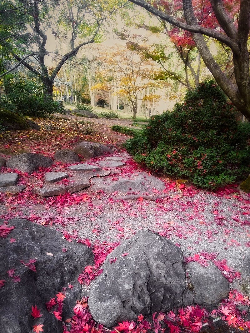 Ashland Lithia Park