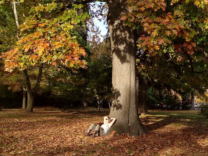 Ashland Lithia Park