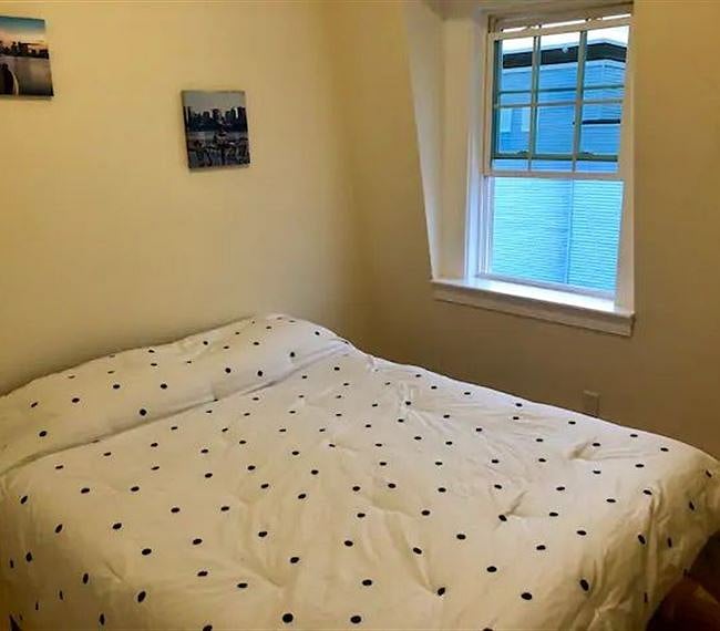 Furnished Finder property 260387_1 photo 9
