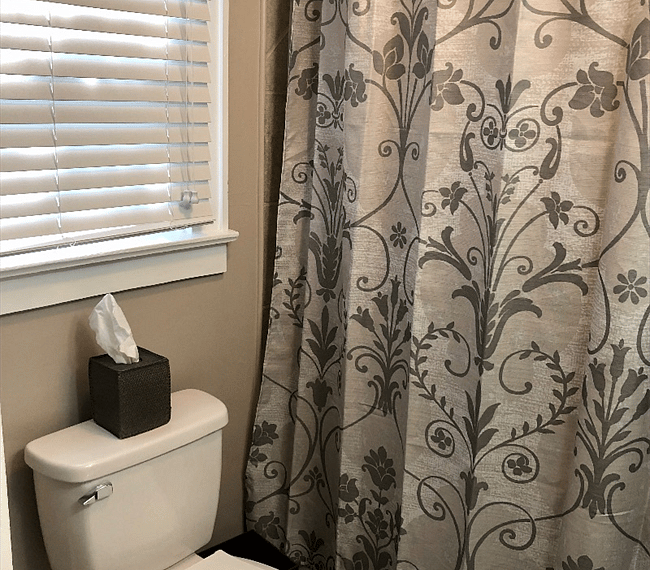 Furnished Finder property 260438_1 photo 6