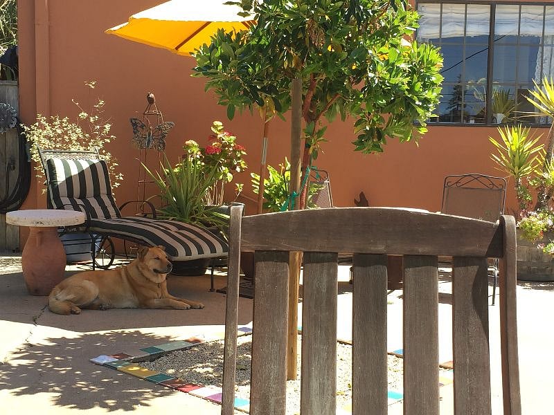 Great private courtyard. Grill your dinner and eat outside. Two fountains in this 1400 SF courtyard. 