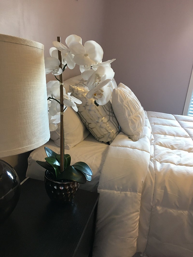 Furnished Finder property 260555_1 photo 14