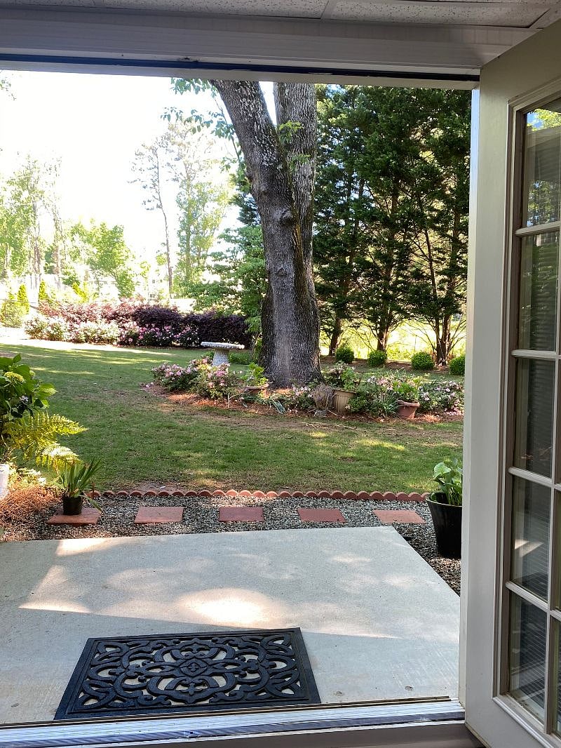 Professionally landscaped backyard 