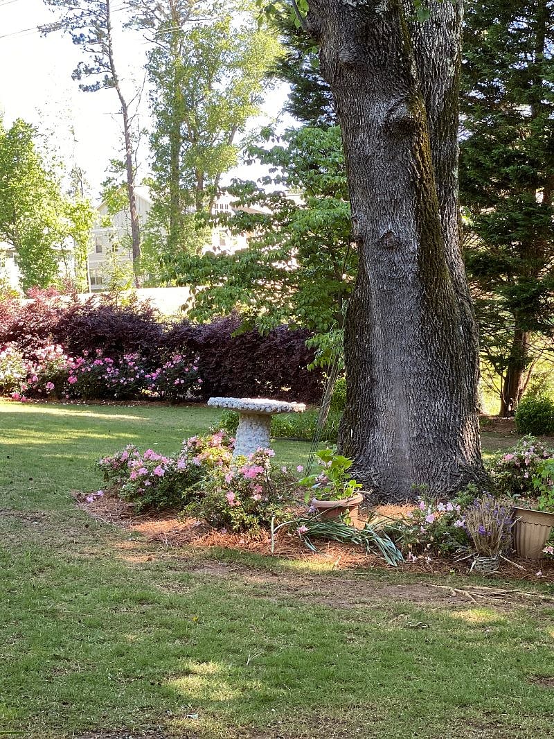 Professionally landscaped backyard 