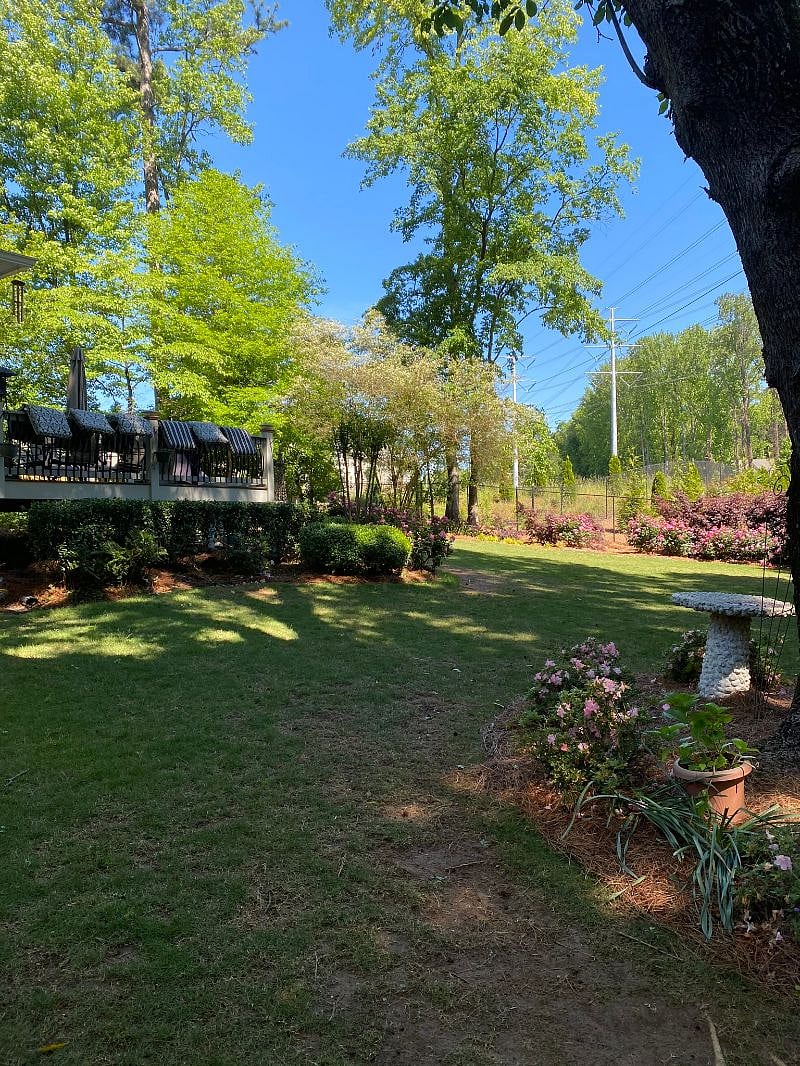 Professionally landscaped backyard 
