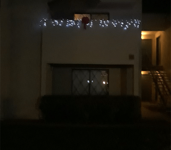 All lit up for the holidays