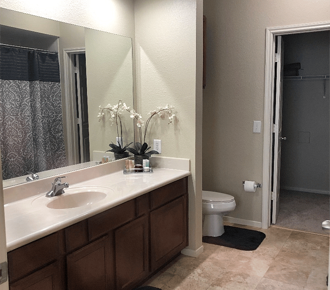 Furnished Finder property 260846_1 photo 12