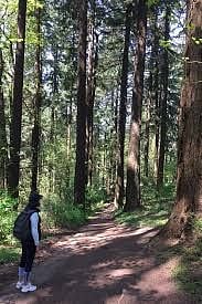 Trail on Mount Tabor Park