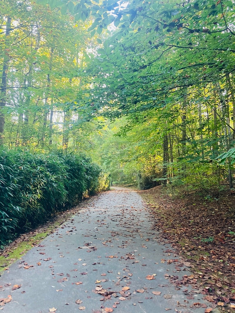 Entrance to Cary Greenways from the townhouse community 