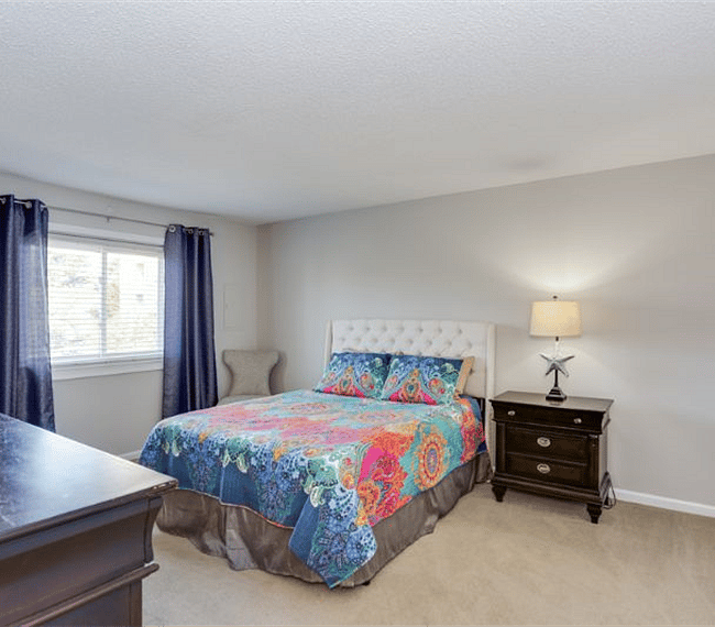 Furnished Finder property 261244_1 photo 15