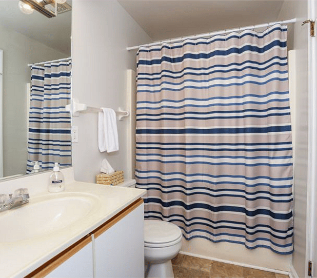 Furnished Finder property 261244_1 photo 19