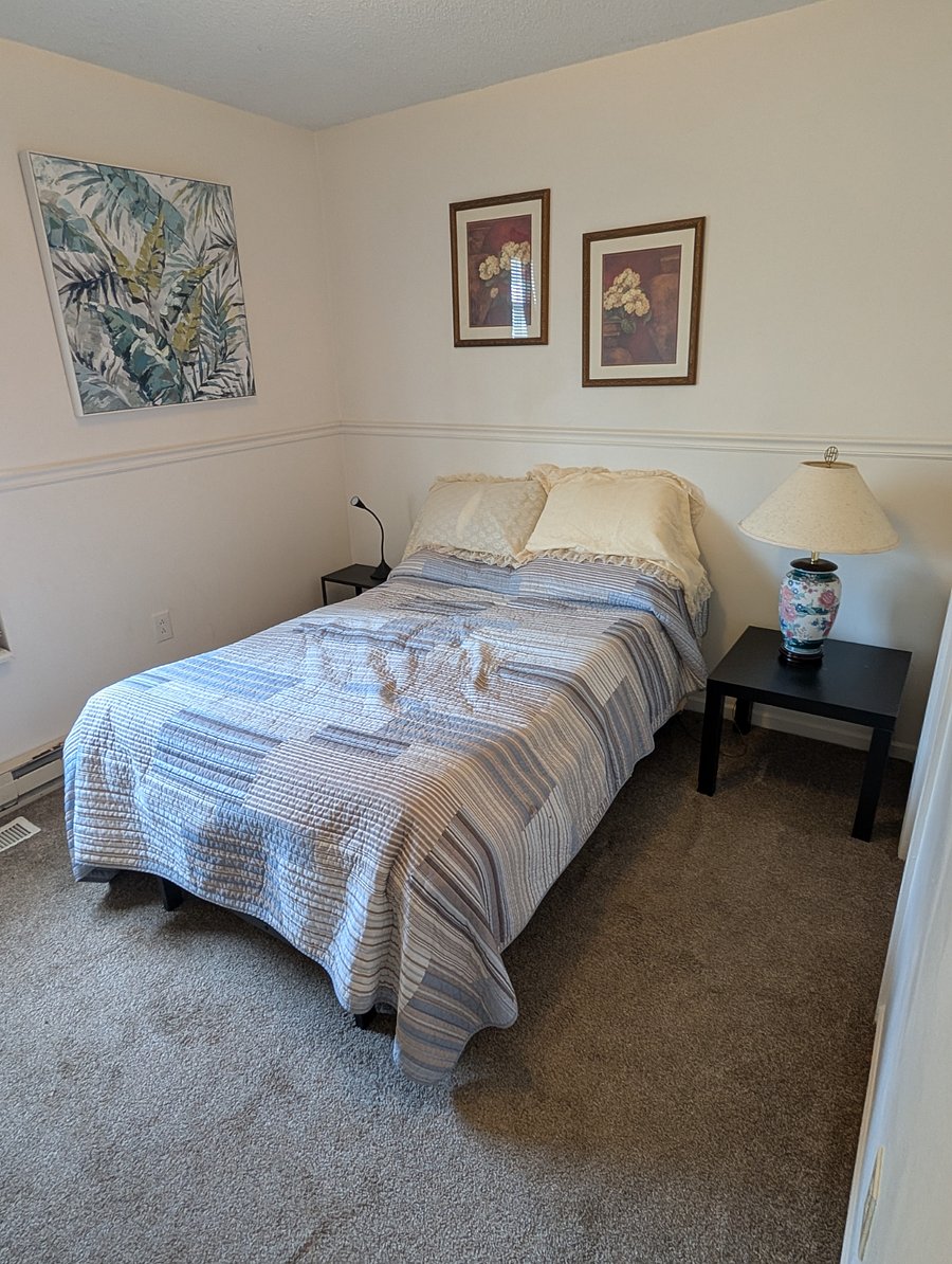 Furnished Finder property 261258_1 photo 17