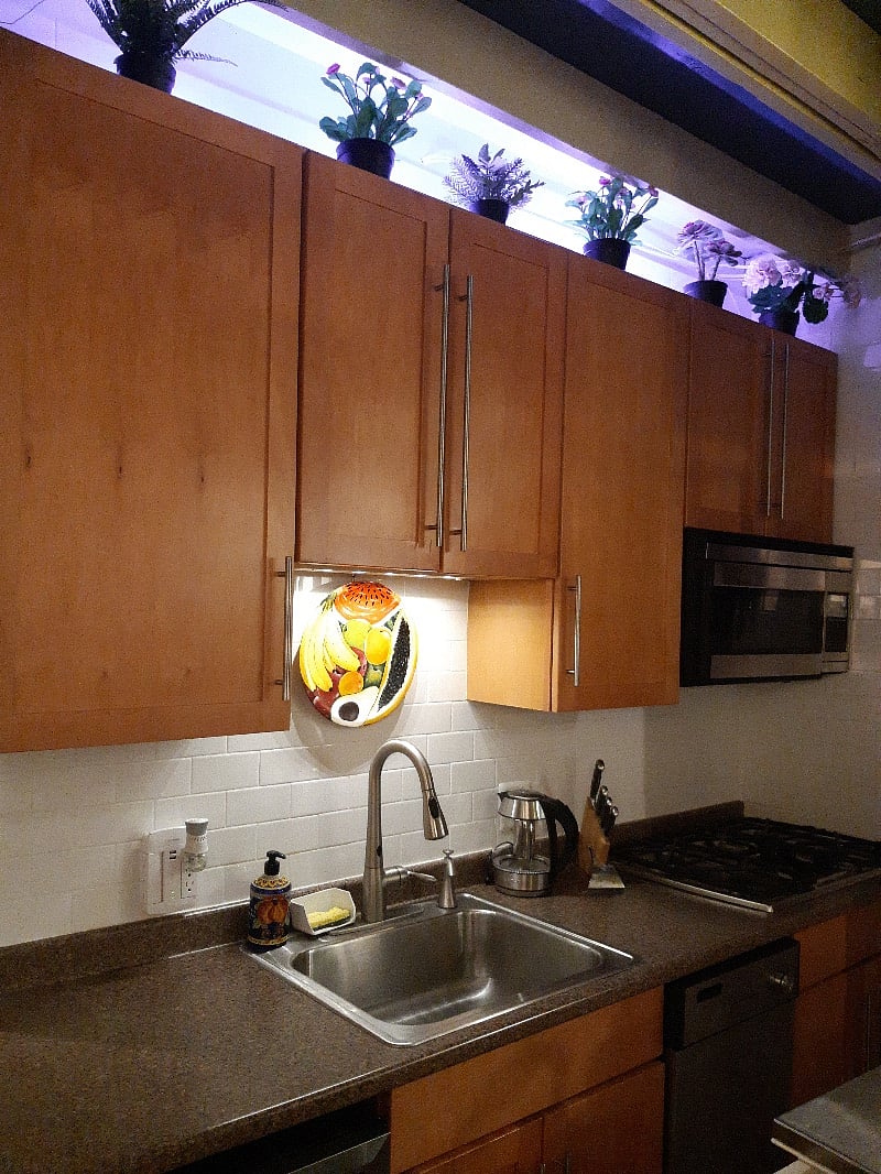 Furnished Finder property 261268_1 photo 18