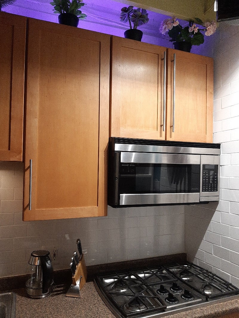 Furnished Finder property 261268_1 photo 38