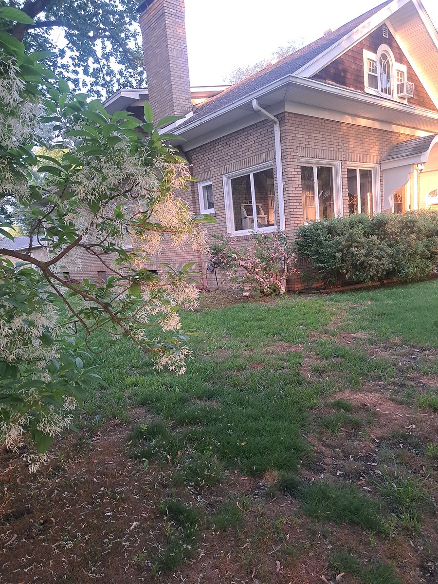 Furnished Finder property 261302_1 photo 43