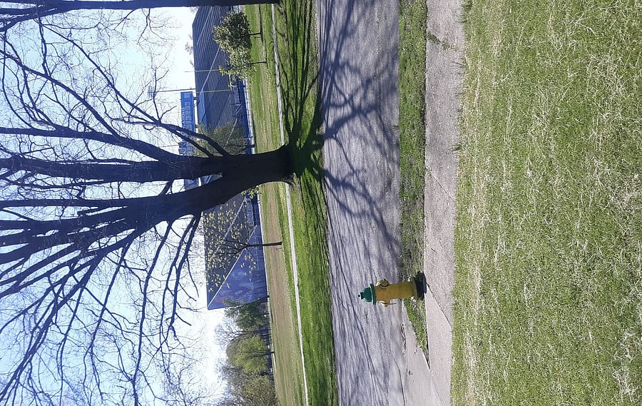 Walking trails directly across from home and adjoining Hulman Memorial Stadium with Rose Hulman Institute of Engineering and Indiana State University.  