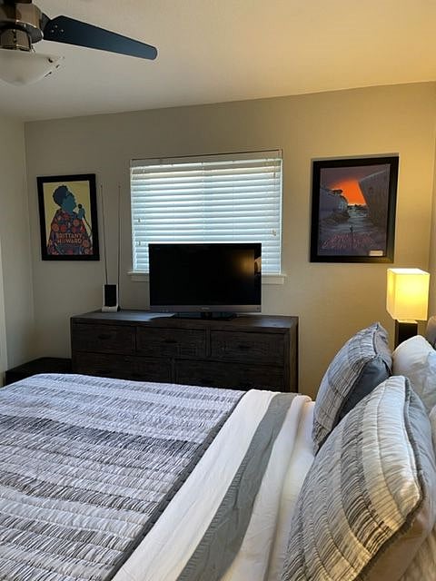 Furnished Finder property 261322_1 photo 12