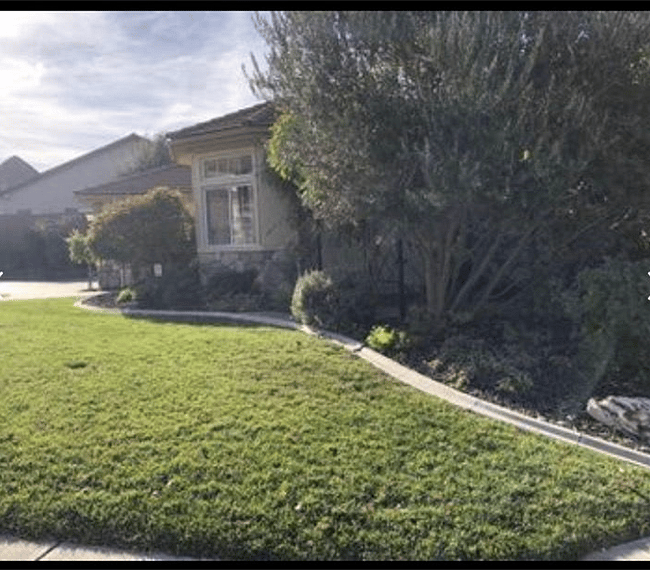 Side-yard